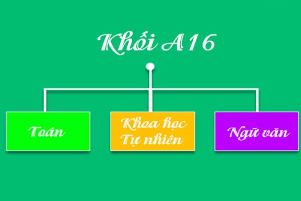 Khối A16 gồm những môn nào? Các ngành thuộc khối A16