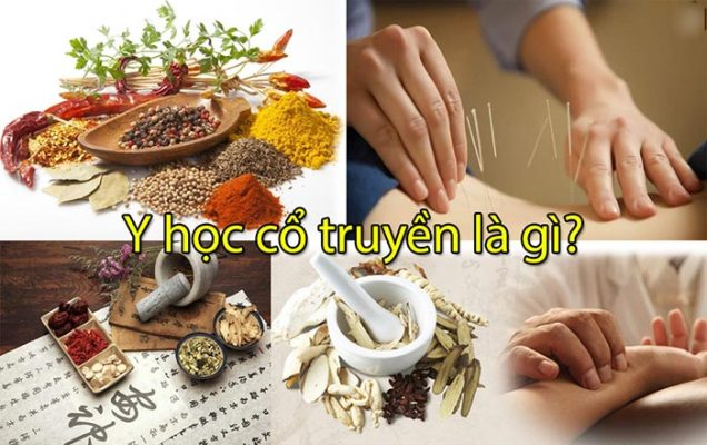 7 trường đào tạo ngành y học cổ truyền tốt nhất hiện nay