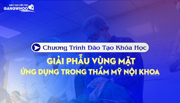 Chương Trình Đào Tạo Khóa Học Giải Phẫu Vùng Mặt Ứng Dụng Trong Thẩm Mỹ Nội Khoa