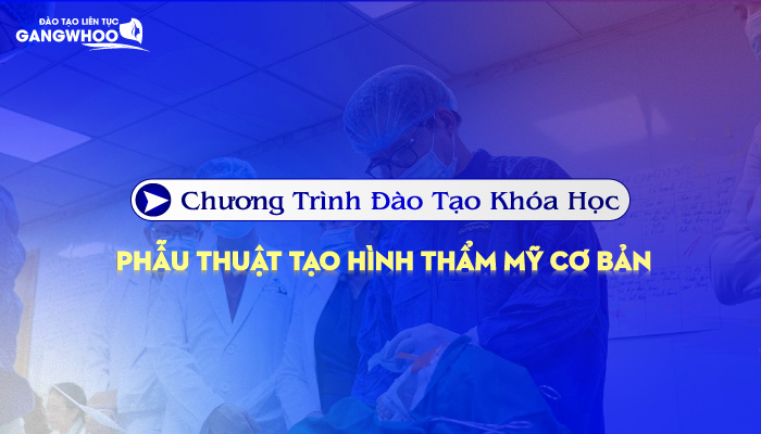 Chương Trình Đào Tạo Khóa Học Phẫu Thuật Tạo Hình Thẩm Mỹ Cơ Bản