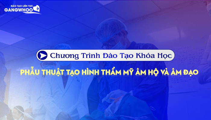 Chương Trình Đào Tạo Khóa Học Phẫu Thuật Tạo Hình Thẩm Mỹ Âm Hộ Và Âm Đạo