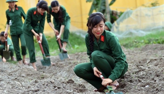 Nữ Đi Nghĩa Vụ Quân Sự Làm Những Gì? Có Bắt Buộc Đi?
