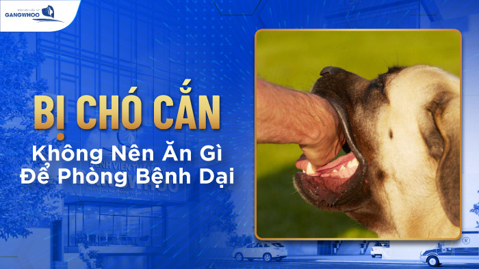 Bị chó cắn không nên ăn gì?