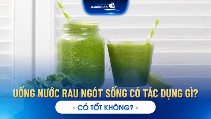 Uống Nước Rau Ngót Sống Có Tác Dụng Gì? Có Tốt Không?