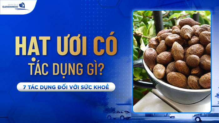 Hạt ươi có tác dụng gì?