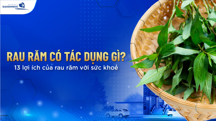 Rau răm có tác dụng gì?