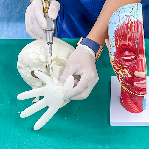 Đào Tạo Liên Tục - Bệnh Viện Thẩm Mỹ Gangwhoo
